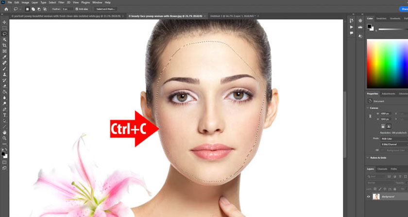 select Copy to copy the model's face or you can press the shortcut Ctrl + C