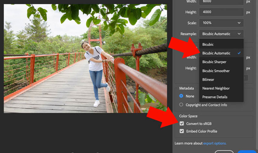 you can control how Photoshop samples in Resample