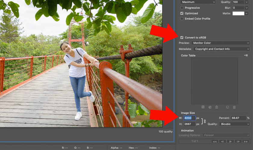 Move to Image Size to set the width and height dimensions