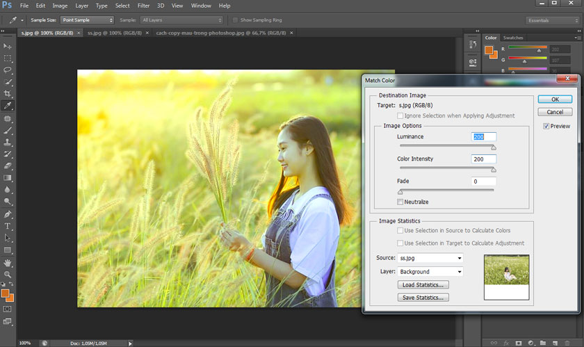 Match Color tool provides a quick way to copy colors in Photoshop