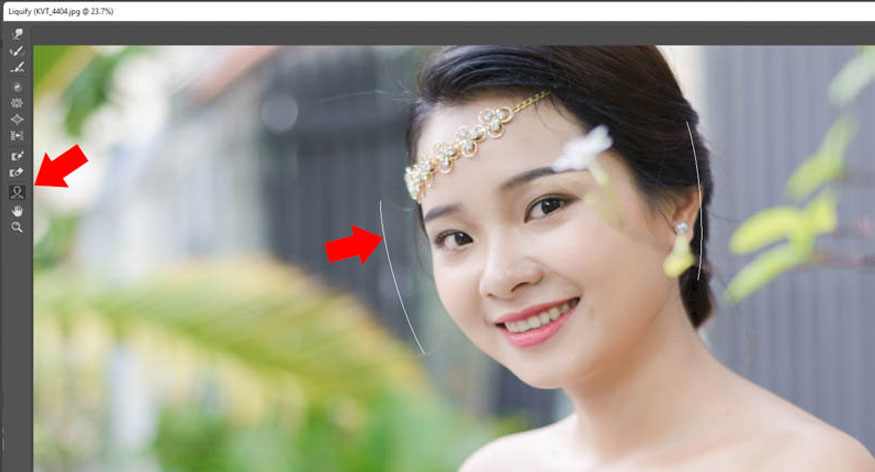 click on the humanoid icon in the left corner to see a frame surrounding the model's face