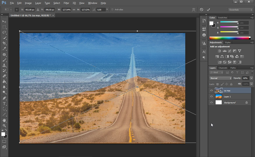 Adjust the Opacity of the path layer down