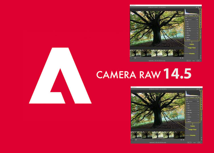 Instructions for Downloading and Installing Camera Raw 14.5