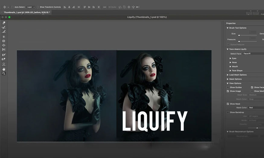 How to Use the Liquify Tool in Photoshop