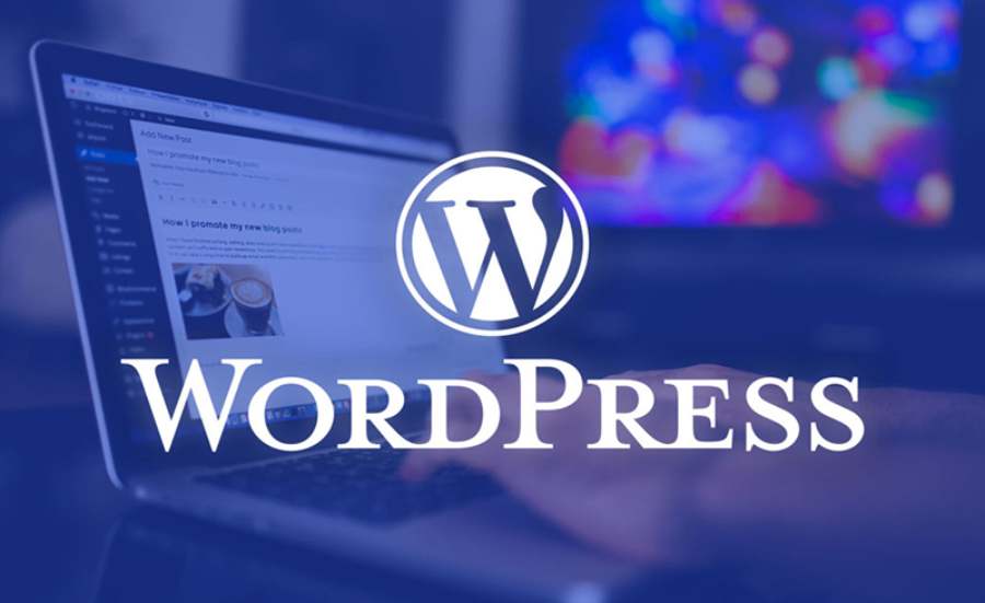 Detailed Process of Creating a Website with WordPress Tools Extremely Simple