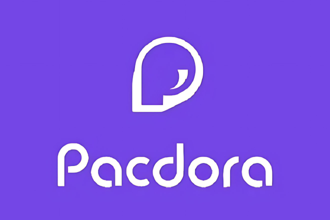 Pacdora Pro App: Breakthrough Creative Tools for Designers