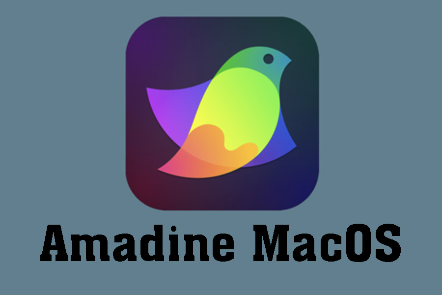 Free Download Amadine For MacOS – Vector Graphics Software Similar To Illustrator