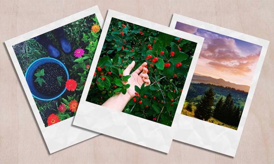 Create a Polaroid Template in Photoshop SUPER EASY with SaDesign