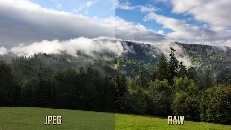 What is Raw Photo? 5 Popular Raw Photo Editing Software Today