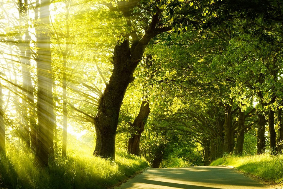Create sun rays in photoshop