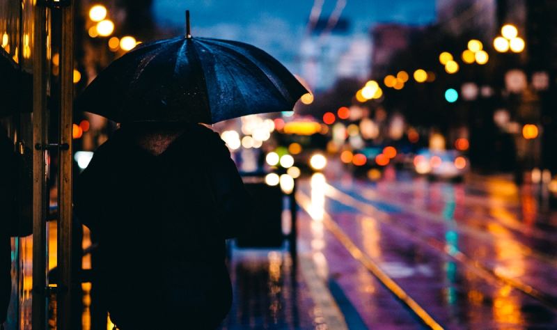 Take 4 Steps to Capture Perfect Bokeh