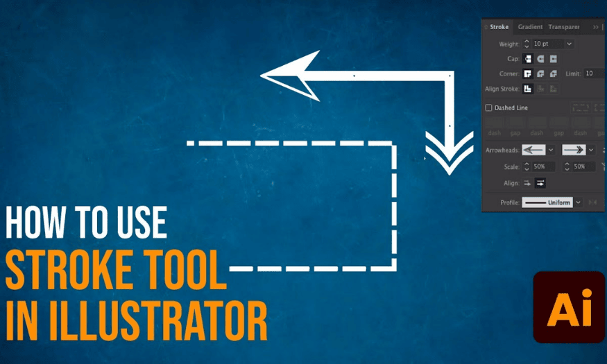 What is Stroke in Illustrator? Instructions for creating Stroke from A to Z