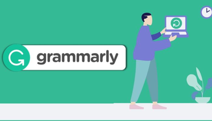 Improve Your Writing Skills With Grammarly: No Spelling Mistakes, No Grammar Errors