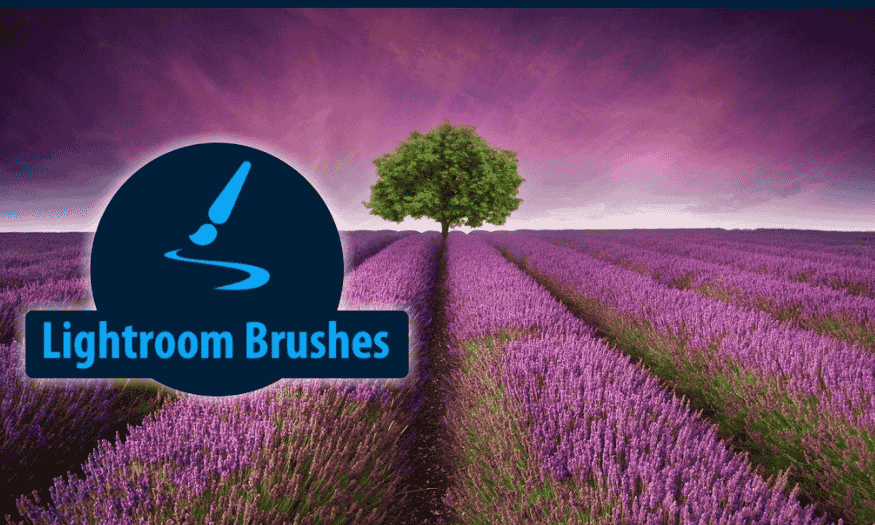 How to use Brush in Lightroom simply anyone can do