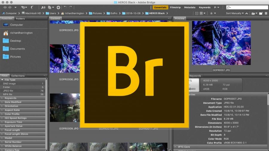 What is Adobe Bridge? Outstanding Features and Benefits of Adobe Bridge