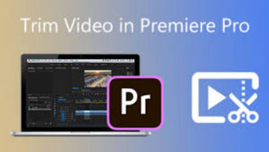 Everything About How to Cut Videos Professionally in Adobe Premiere CC