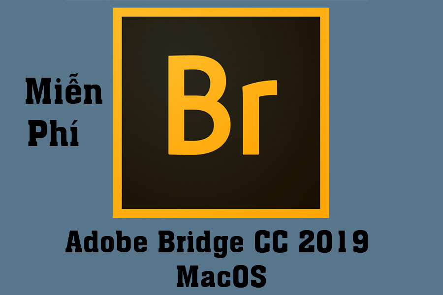 Instructions for Downloading and Installing Adobe Bridge CC 2019 for Free on MacOS