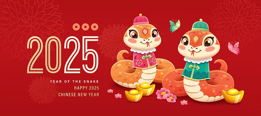 Free Sharing of Resources to Support the 2025 Lunar New Year Competition