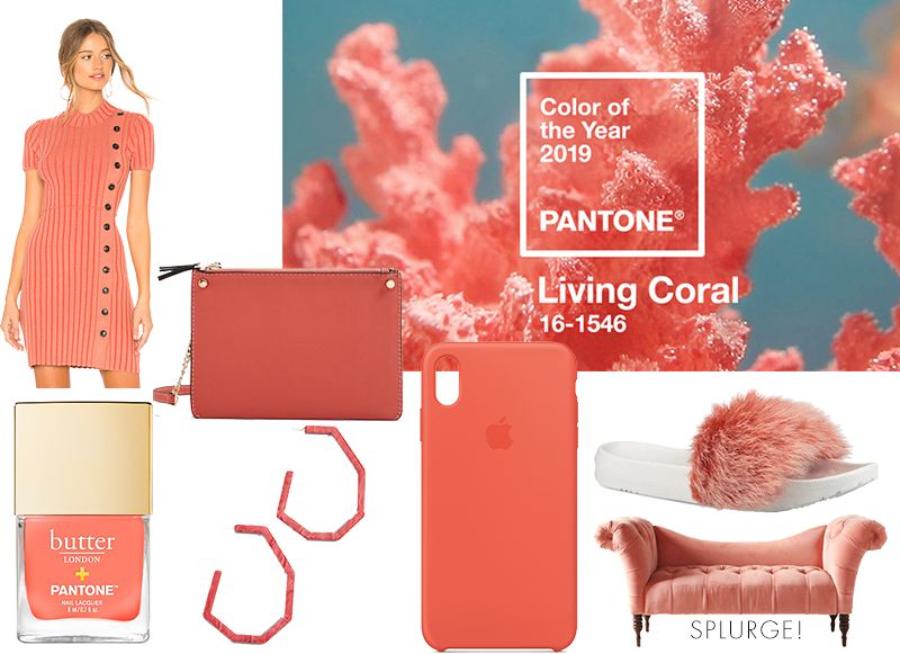 Pantone Trends In Recent Years? The Message Behind Peach Fuzz 2024, Decoding Pantone Colors