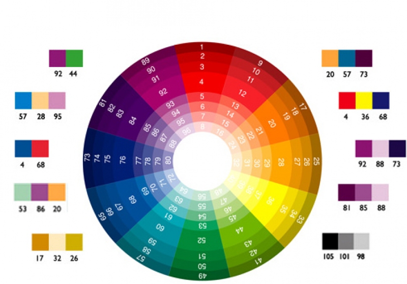 The Importance of Color Psychology in Professional Design