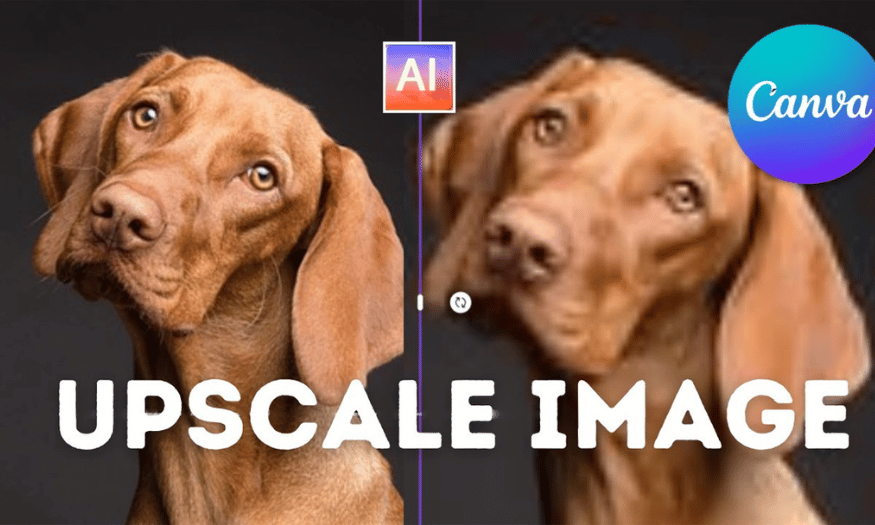 How to Use Upscale Image Canva to Sharpen Photos