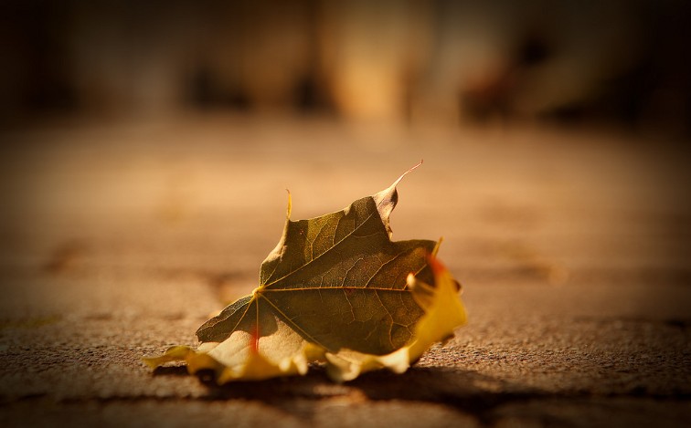 What is Side Lighting? Tips for Mastering Side Lighting for 'Soulful' Photos