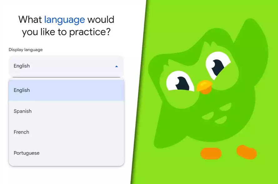 Google Translate transforms into AI language learning app, threatening Duolingo's position