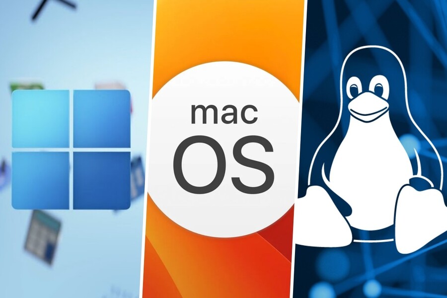 What is an operating system? Differentiate between the popular operating systems today.