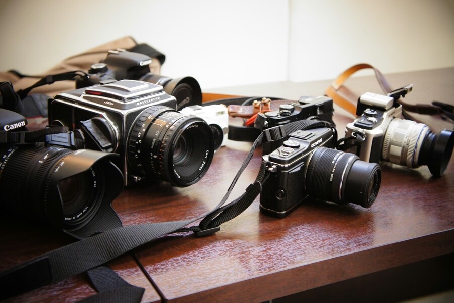 Top 6 Best Cameras for Beginners in 2026