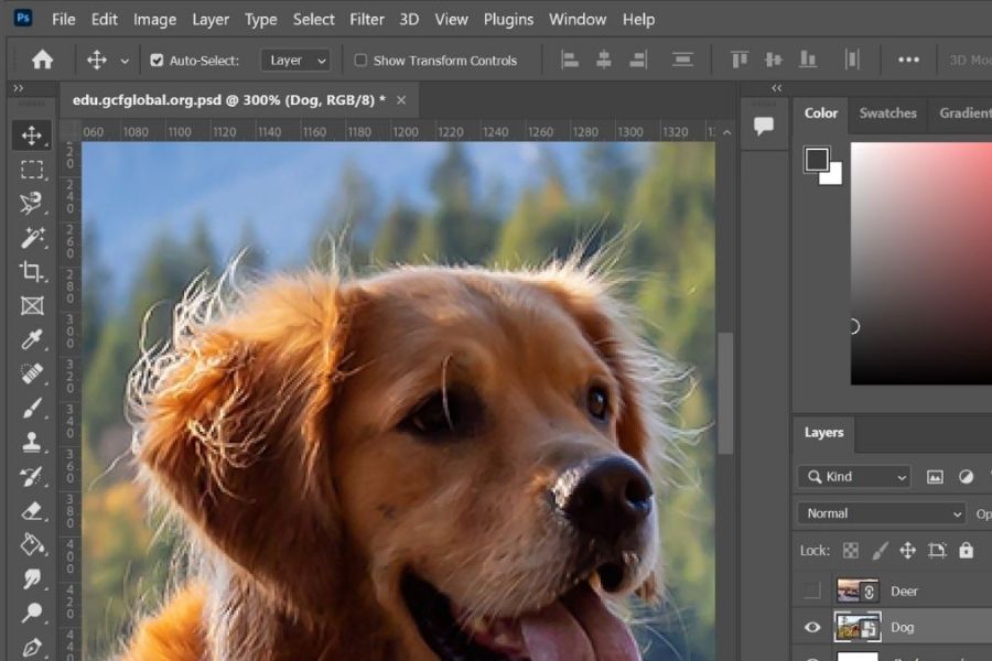 Quick Guide to Creating Photo Borders in Photoshop, Fast and Beautiful Like a Professional Designer