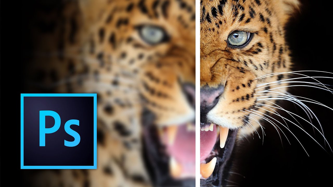 How to Increase Image Sharpness in Photoshop for Clearer, More Professional Photos