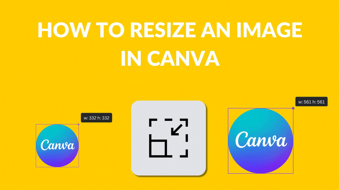 The Easiest Ways to Resize Images in Canva