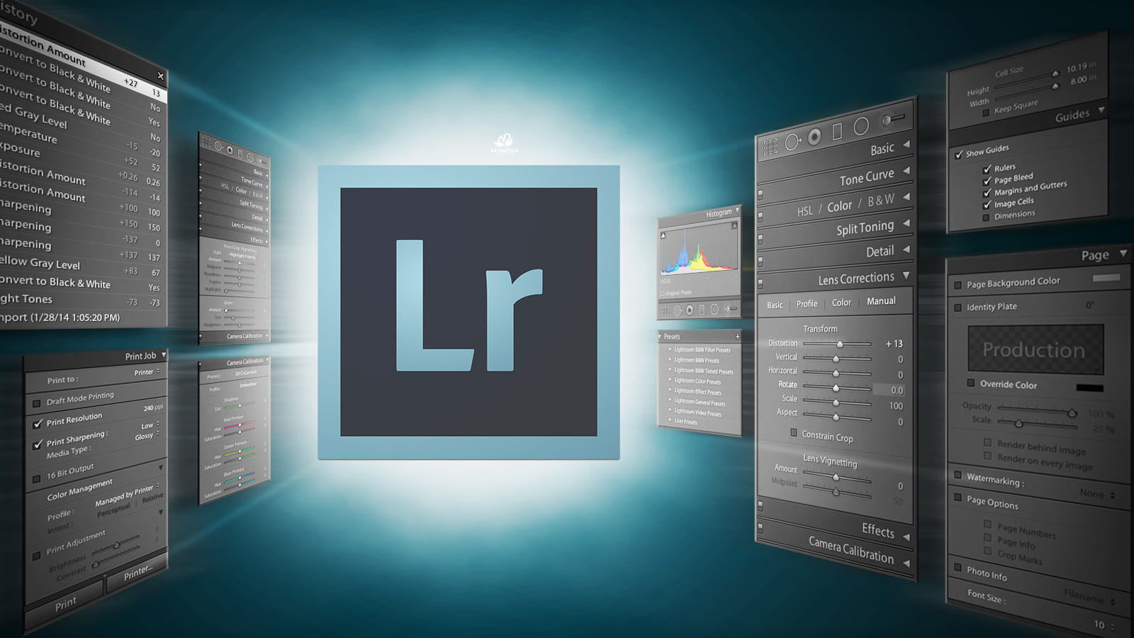 Basic Lightroom Knowledge for Photographers & Creators
