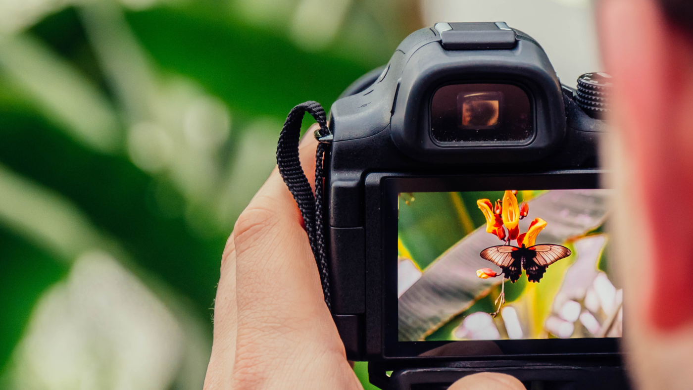 90% of New Creators Shoot Video the Wrong Way. Here’s the Secret to Effective Video Stabilization