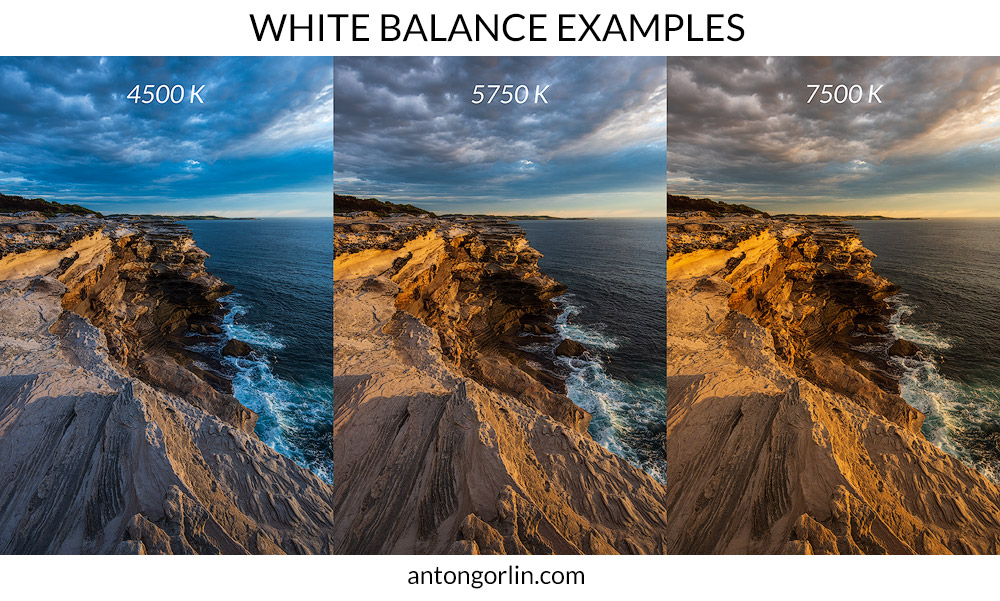 What Is White Balance in Photography? How to Set It Correctly and Avoid Color Casts