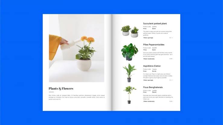 Steps to Building an Impressive Catalogue