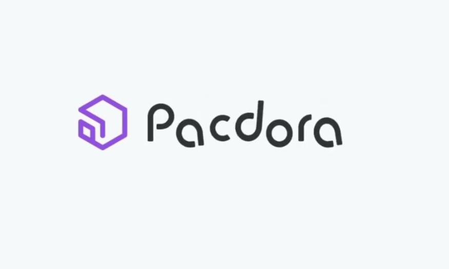 Pacdora: An Impressive Packaging Design Tool