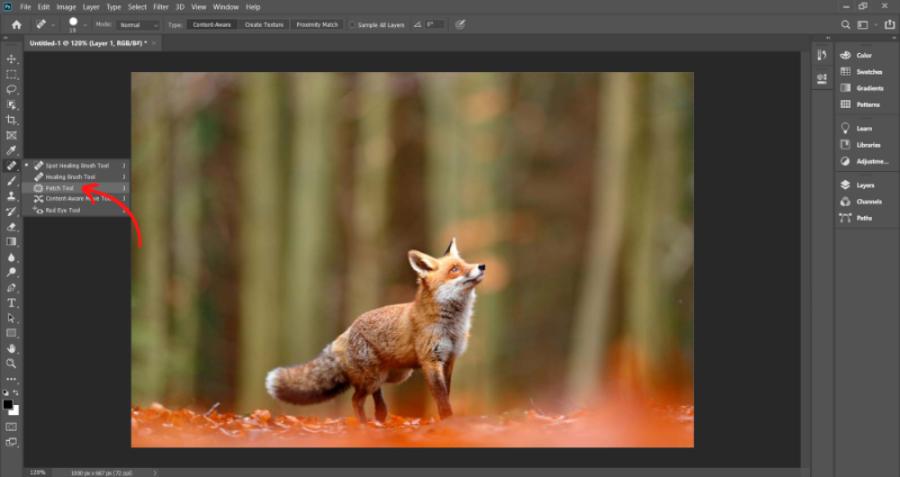 4-ways-to-delete-selected-areas-in-photoshop.jpg