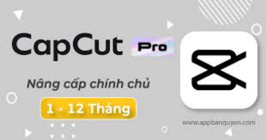 2-buy-sell-capcut-pro-license.jpg
