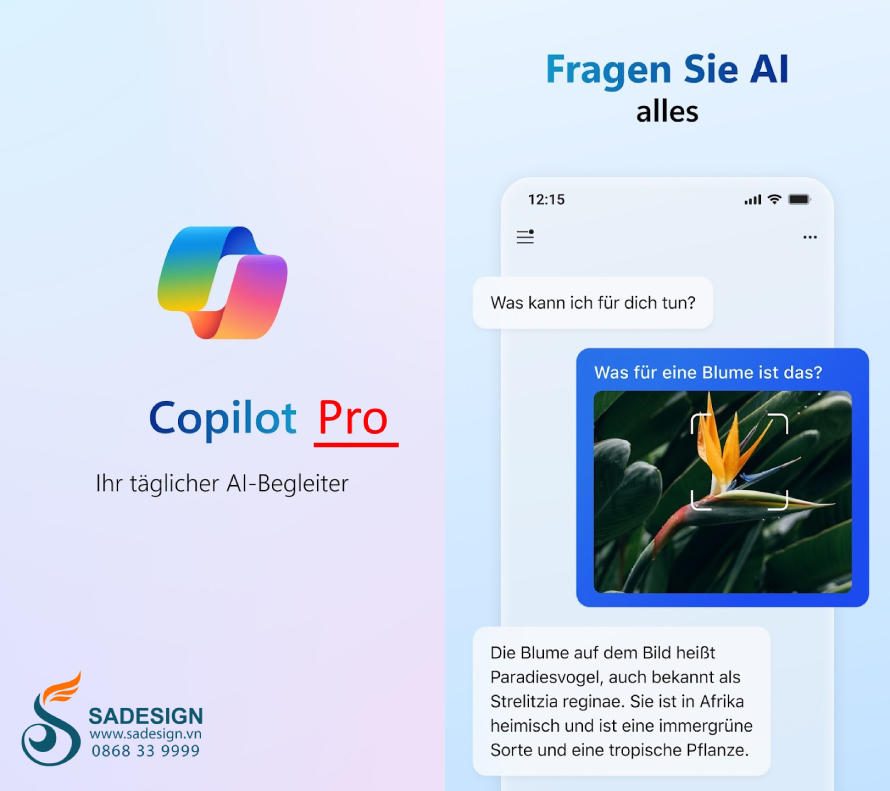 Which account is Copylot Pro?