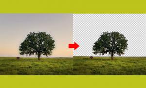 How to separating the background of photos