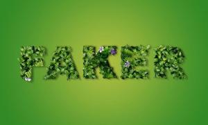 How to create a grass text effect in Photoshop