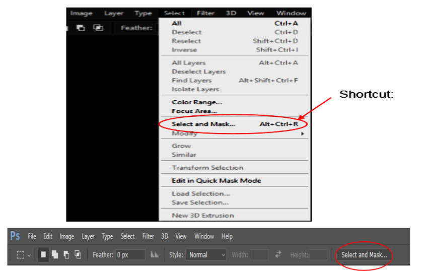 Select and Mask function in Photoshop