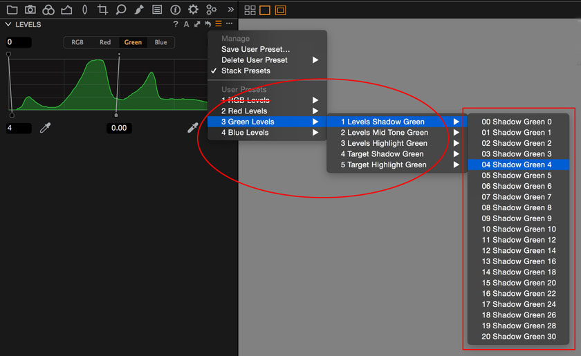 Levels of Capture One