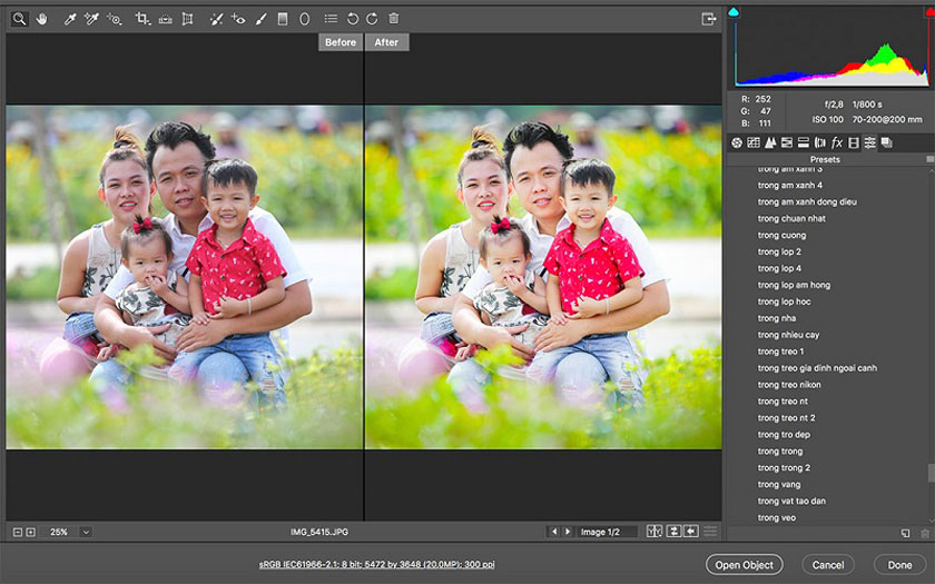 use preset on camera raw