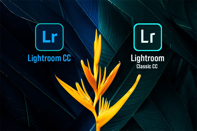 choose Lightroom Classic or Lightroom CC