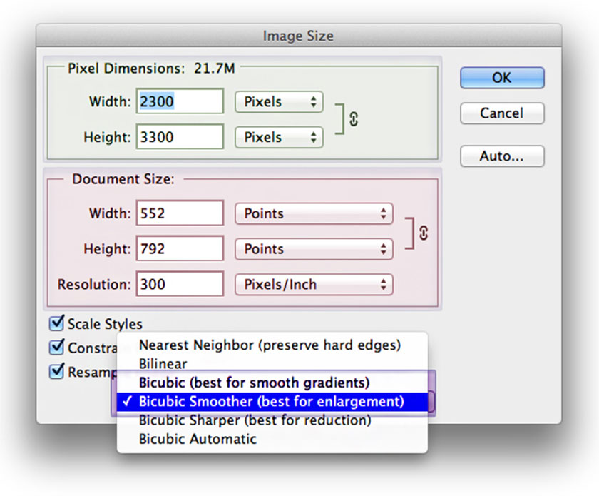 image size dialog box 