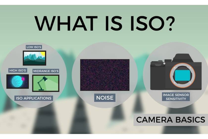 What is ISO? ISO and Digital Photography