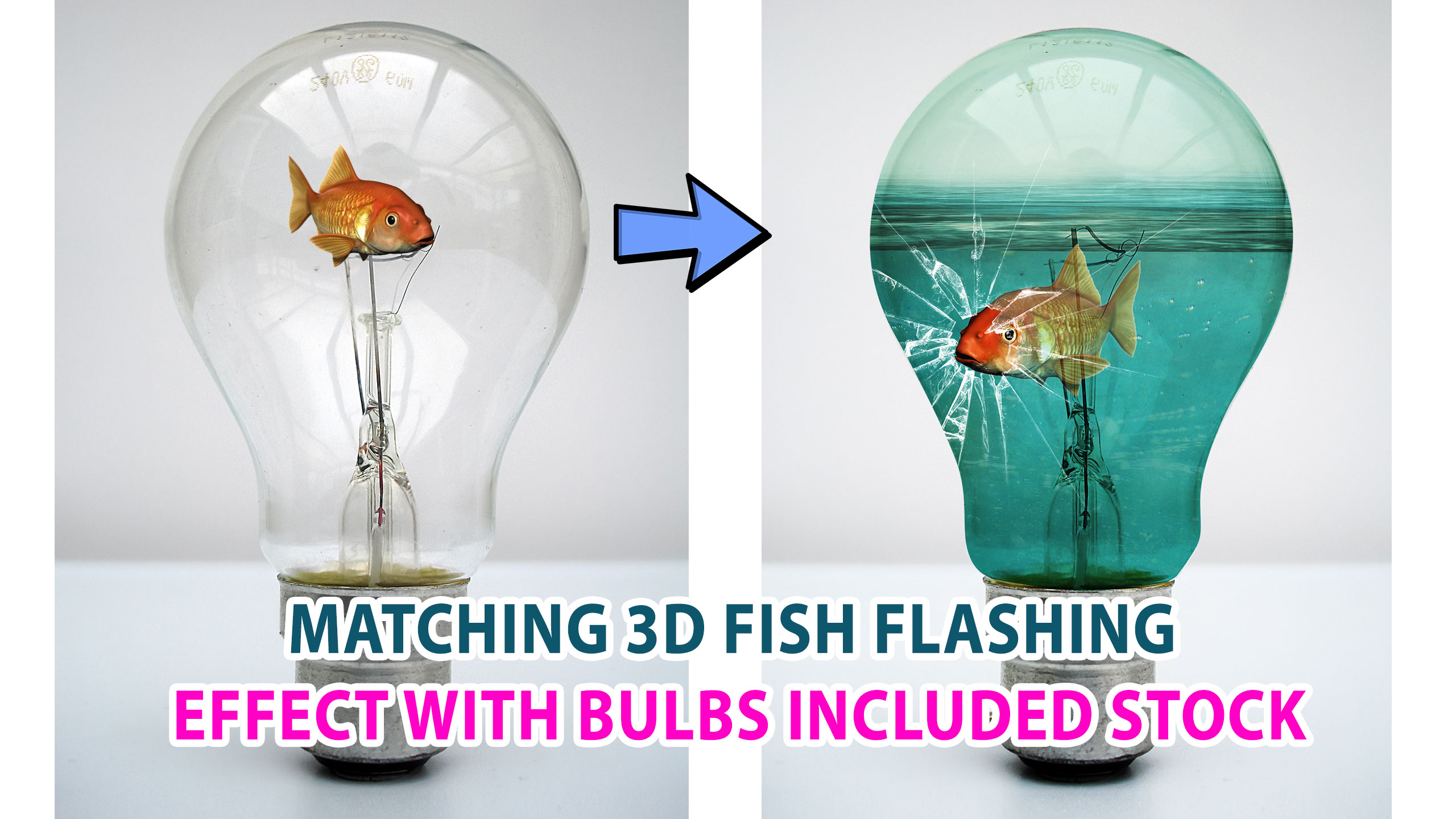 Matching 3D Fish Flashing Effect with Bulbs Included Stock