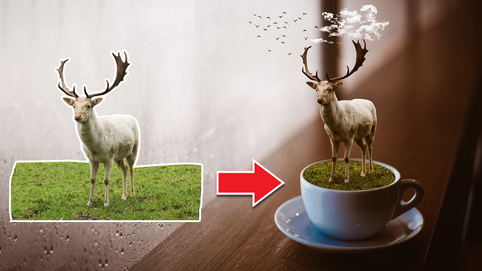 Matching Deer on Coffee Cup 3D Effect